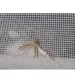 Lưới Inox chắn côn trùng